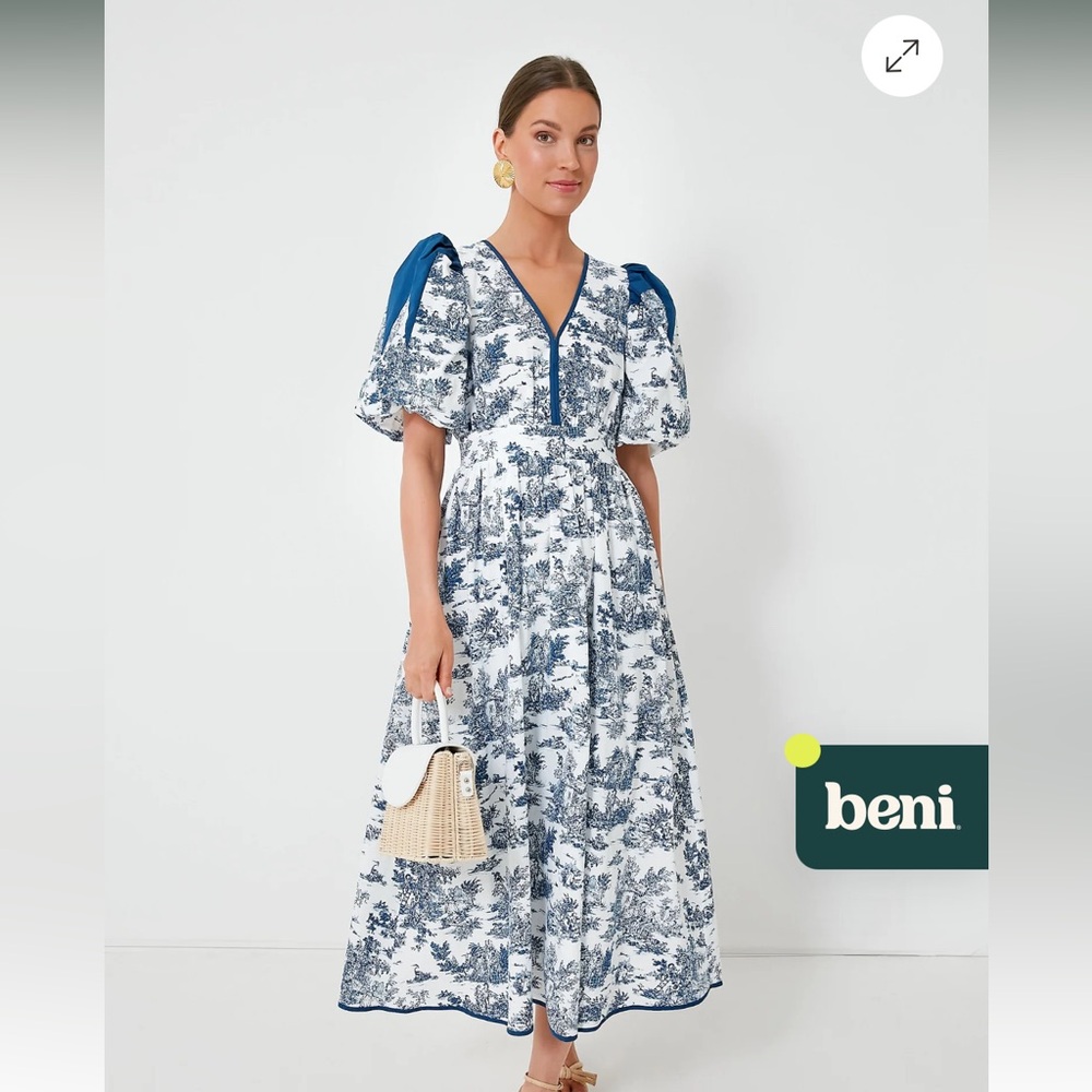ISO DO NOT BUY! Hyacinth House Dress